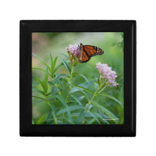 Monarch Butterfly Gift Box