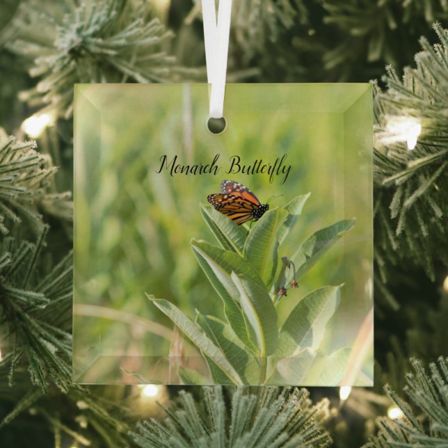 Monarch Butterfly  Glass Ornament (Insitu)
