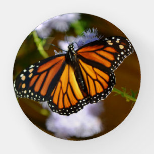 Monarch Butterfly Glass Paperweight