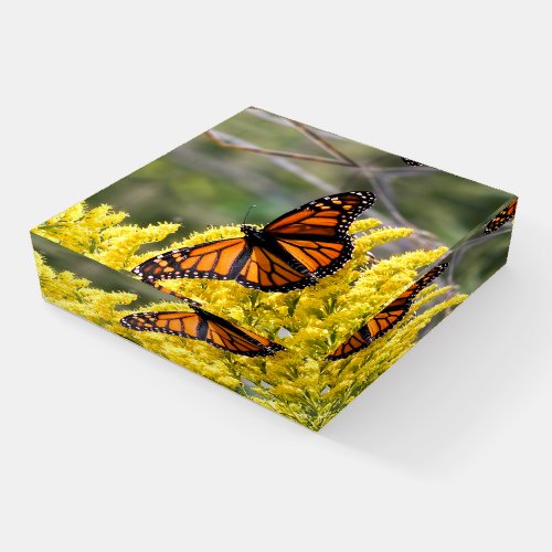 Monarch Butterfly Glass Paperweight