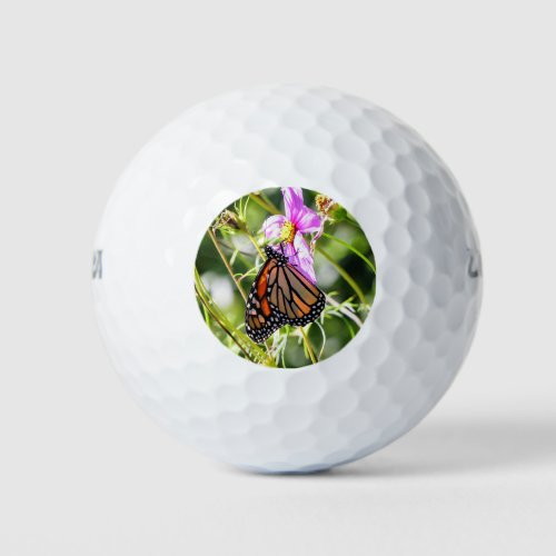 Monarch Butterfly Golf Balls