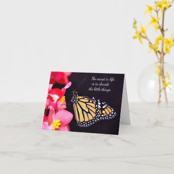 Monarch Butterfly Greeting Cards by Gigglesandgrins at Zazzle