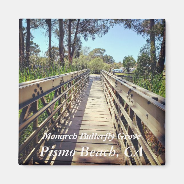 Monarch Butterfly Grove: Pismo Beach, CA Magnet (Front)