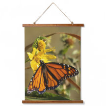 Monarch Butterfly