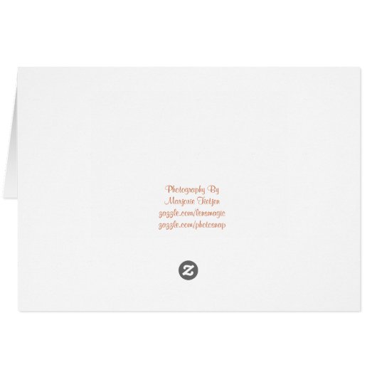 Monarch Butterfly Happy Birthday (Back Horizontal)