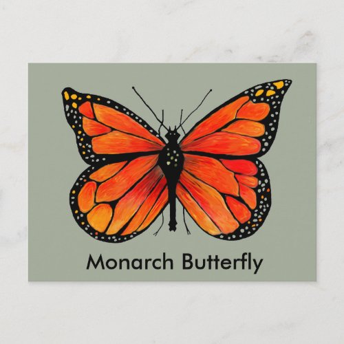 Monarch Butterfly Illustration on Postcard