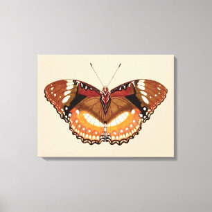 Monarch Butterfly in Brown, Rust and Cream Canvas Print