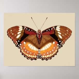 Monarch Butterfly in Brown, Rust and Cream Poster