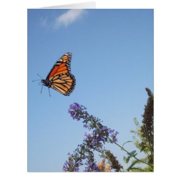 Monarch Butterfly In Flight Big Card by erinphotodesign at Zazzle
