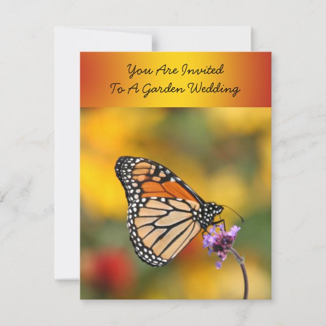 Monarch Butterfly In Search of Pollen Invitation (Front)