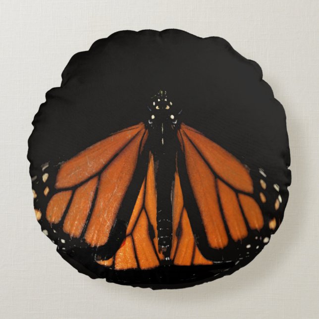 Monarch Butterfly  in the key of Orange Round Pillow (Front)