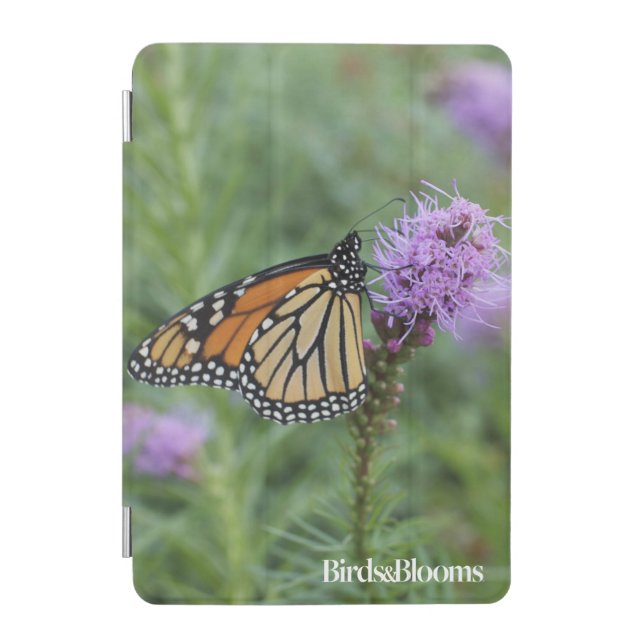 Monarch Butterfly iPad Mini Cover (Front)