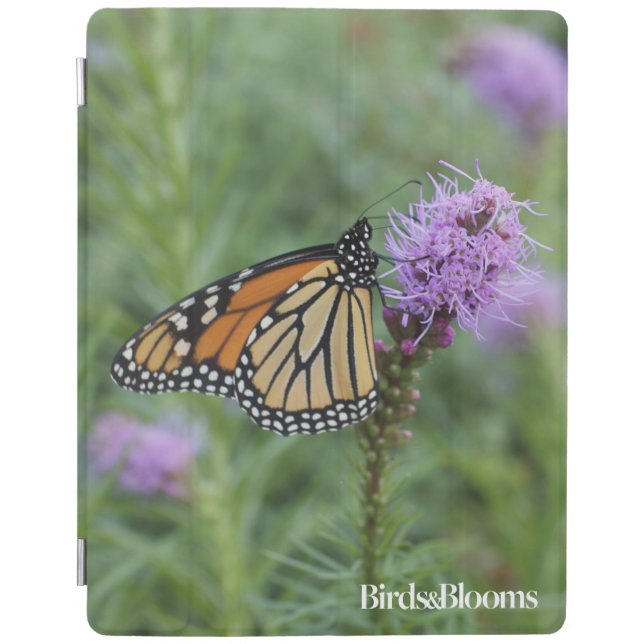 Monarch Butterfly iPad Smart Cover (Front)