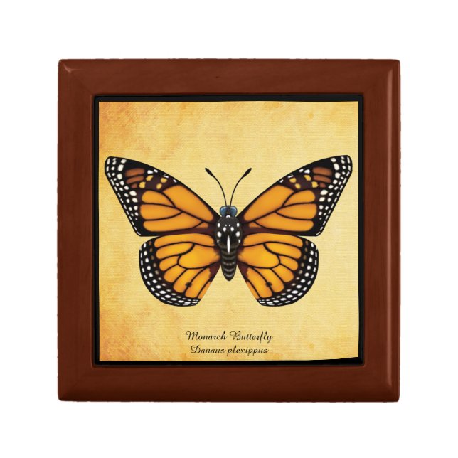 Monarch Butterfly Jewelry Box (Front)
