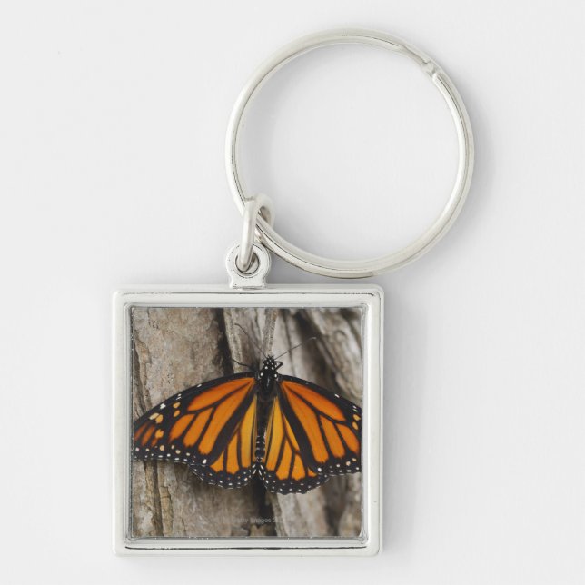 Monarch Butterfly Keychain (Front)