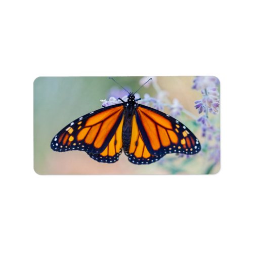 Monarch Butterfly Label