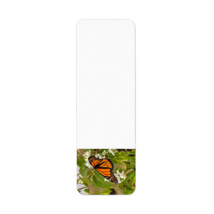 Monarch Butterfly Label