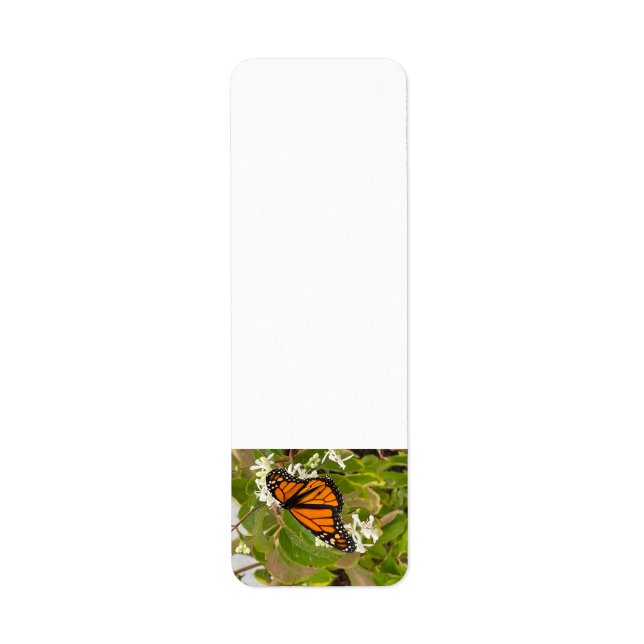 Monarch Butterfly Label (Front)
