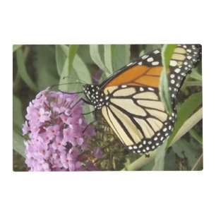Monarch Butterfly Laminated Placemat