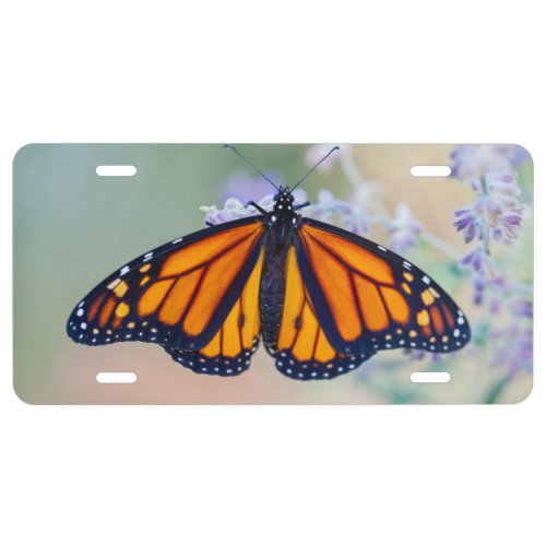 Monarch Butterfly License Plate