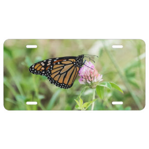 Monarch Butterfly License Plate