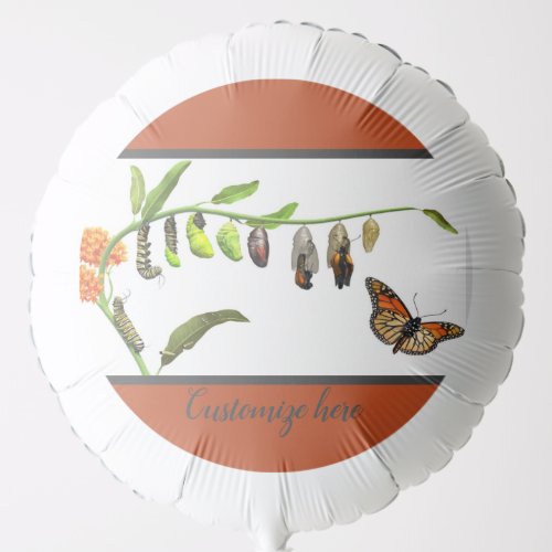 Monarch butterfly lifecycle balloon