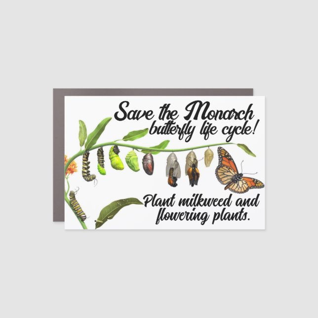 Monarch butterfly magnet (Front)