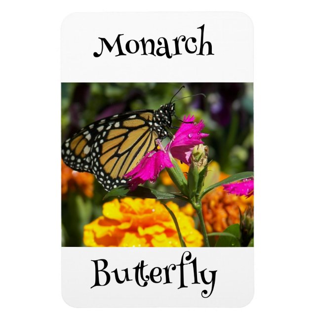 Monarch Butterfly Magnet (Vertical)