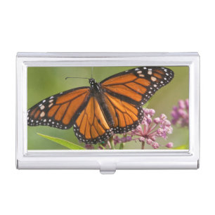 Monarch Butterfly male on Swamp Milkweed Business Card Holder