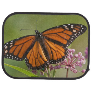 Monarch Butterfly male on Swamp Milkweed Car Floor Mat