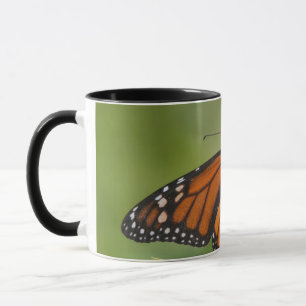 Monarch Butterfly male on Swamp Milkweed Mug