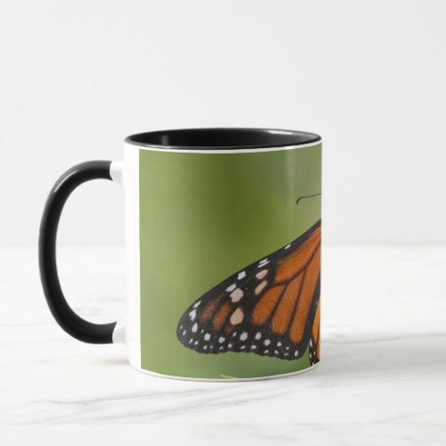 Monarch Butterfly male on Swamp Milkweed Mug