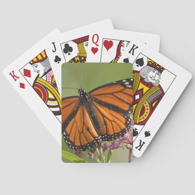 Monarch Butterfly male on Swamp Milkweed Poker Cards (Back)