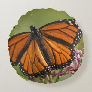 Monarch Butterfly male on Swamp Milkweed Round Pillow