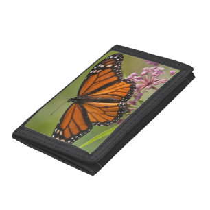 Monarch Butterfly male on Swamp Milkweed Tri-fold Wallet