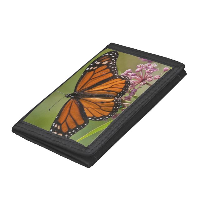 Monarch Butterfly male on Swamp Milkweed Tri-fold Wallet (Bottom)