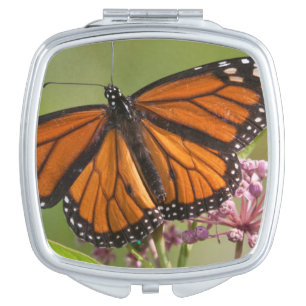 Monarch Butterfly male on Swamp Milkweed Vanity Mirror