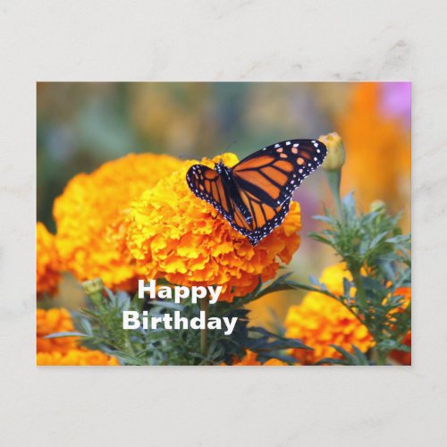 Monarch Butterfly Marigold Photo Birthday Postcard