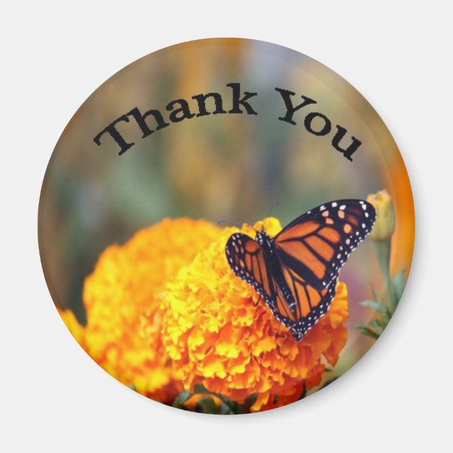Monarch Butterfly Marigold Photo Thank You Magnet (Front)