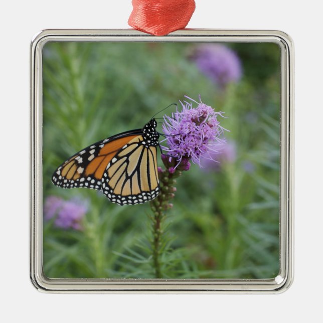 Monarch Butterfly Metal Ornament (Front)