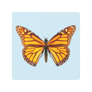 Monarch Butterfly Metal Print