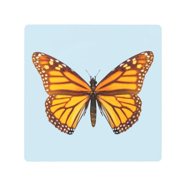 Monarch Butterfly Metal Print (Front)