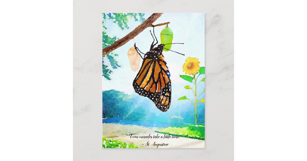 Monarch Butterfly Miracles Postcard Zazzle