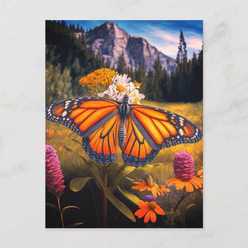 Monarch Butterfly Mountain Beautiful Meadow Nature Postcard