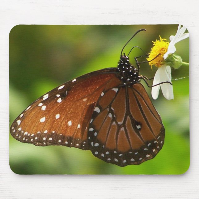Monarch Butterfly Mouse Pad (Front)
