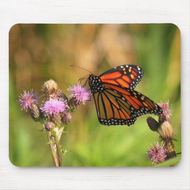Monarch Butterfly Mouse Pad (Front)