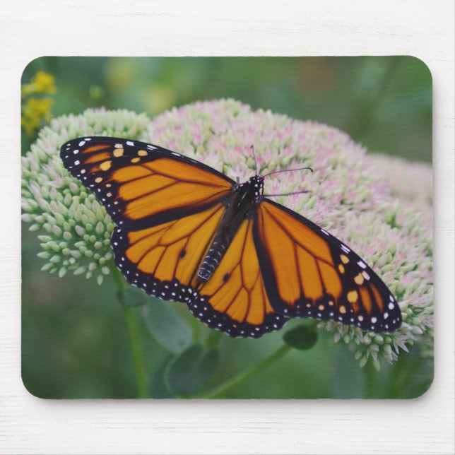 Monarch Butterfly Mouse Pad (Front)
