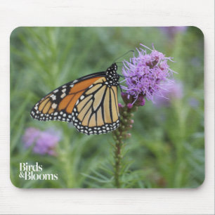 Monarch Butterfly Mouse Pad