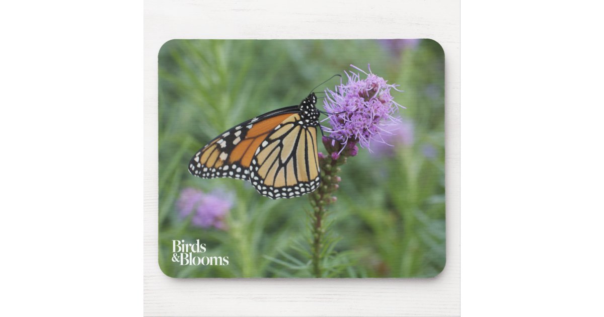 Monarch Butterfly Mouse Pad | Zazzle