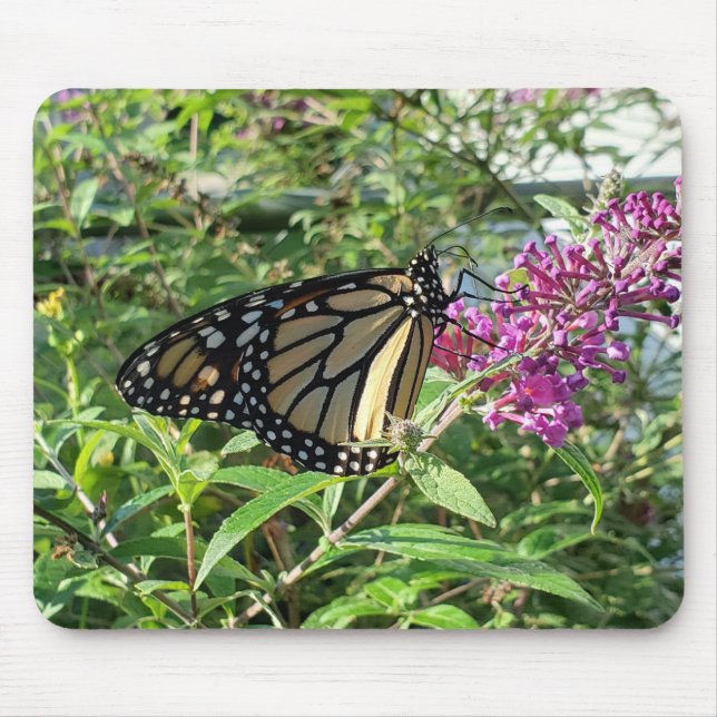 Monarch butterfly mousepad (Front)